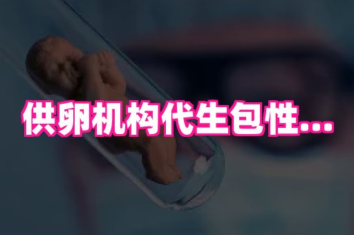 swisee孕网 3