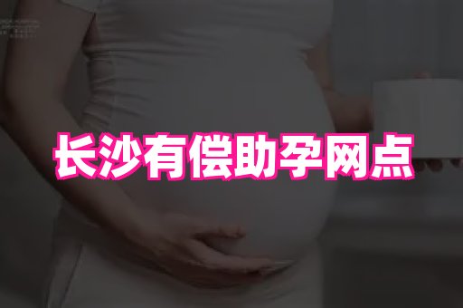 swisee孕网 4